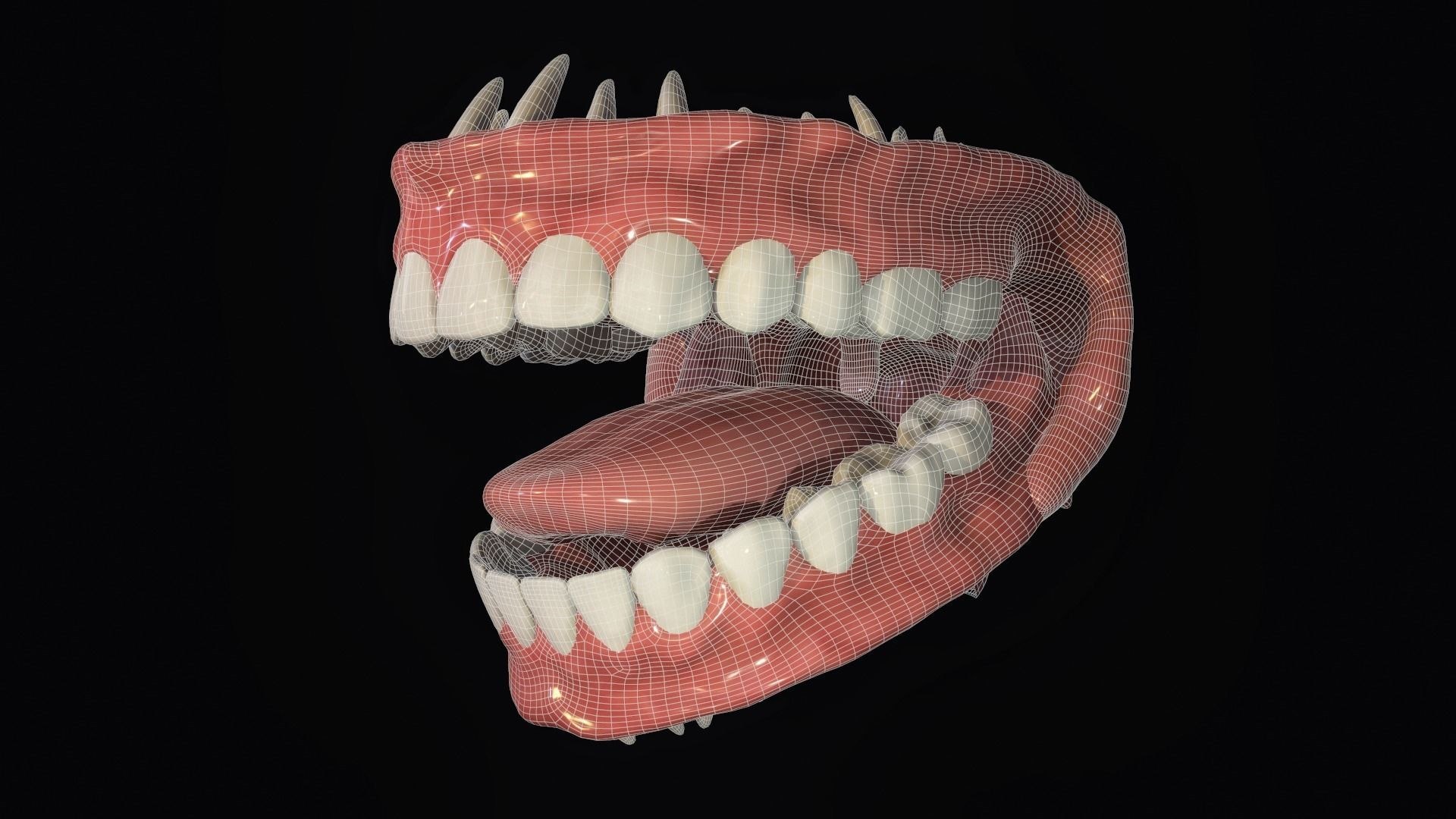 teeth mouth character 3D model https://p.turbosquid.com/ts-thumb/xF/OYMNd7/C6/teethmouthforcharacter3dmodellowpolyanimatedobjfbxc4dstlztlspp8/jpg/1611764682/1920x1080/fit_q87/35d31f1def864ef68b2117cd0098e18202914e6d/teethmouthforcharacter3dmodellowpolyanimatedobjfbxc4dstlztlspp8.jpg