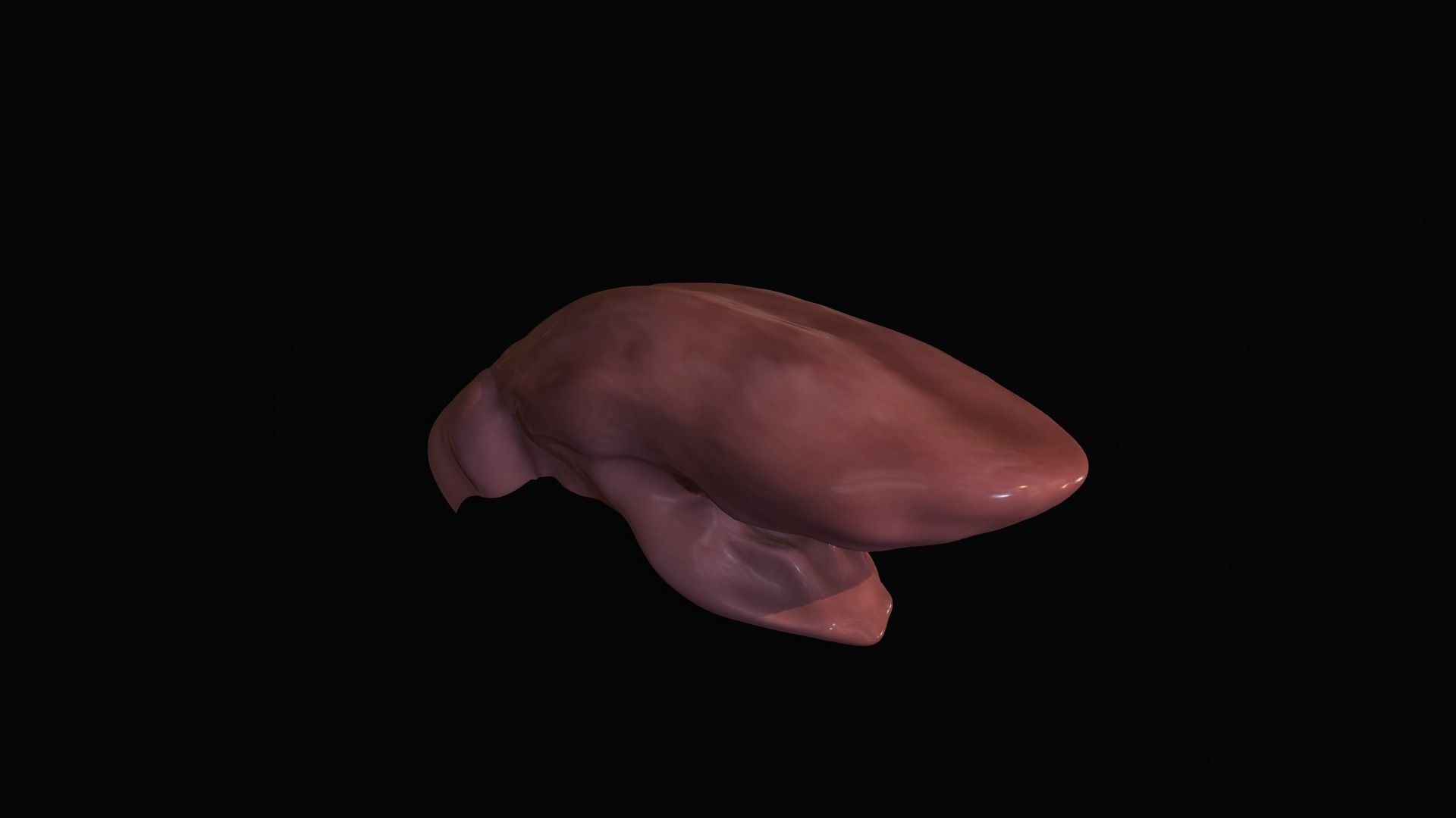 teeth mouth character 3D model https://p.turbosquid.com/ts-thumb/xF/OYMNd7/Mx/teethmouthforcharacter3dmodellowpolyanimatedobjfbxc4dstlztlspp6/jpg/1611764686/1920x1080/fit_q87/d581a4c46c427dd2747113d76c33ef39f78144c5/teethmouthforcharacter3dmodellowpolyanimatedobjfbxc4dstlztlspp6.jpg