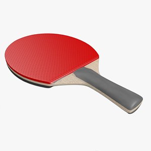 3ds tennis racket ping pong