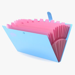 3D model Expanding File Folder Open Pink