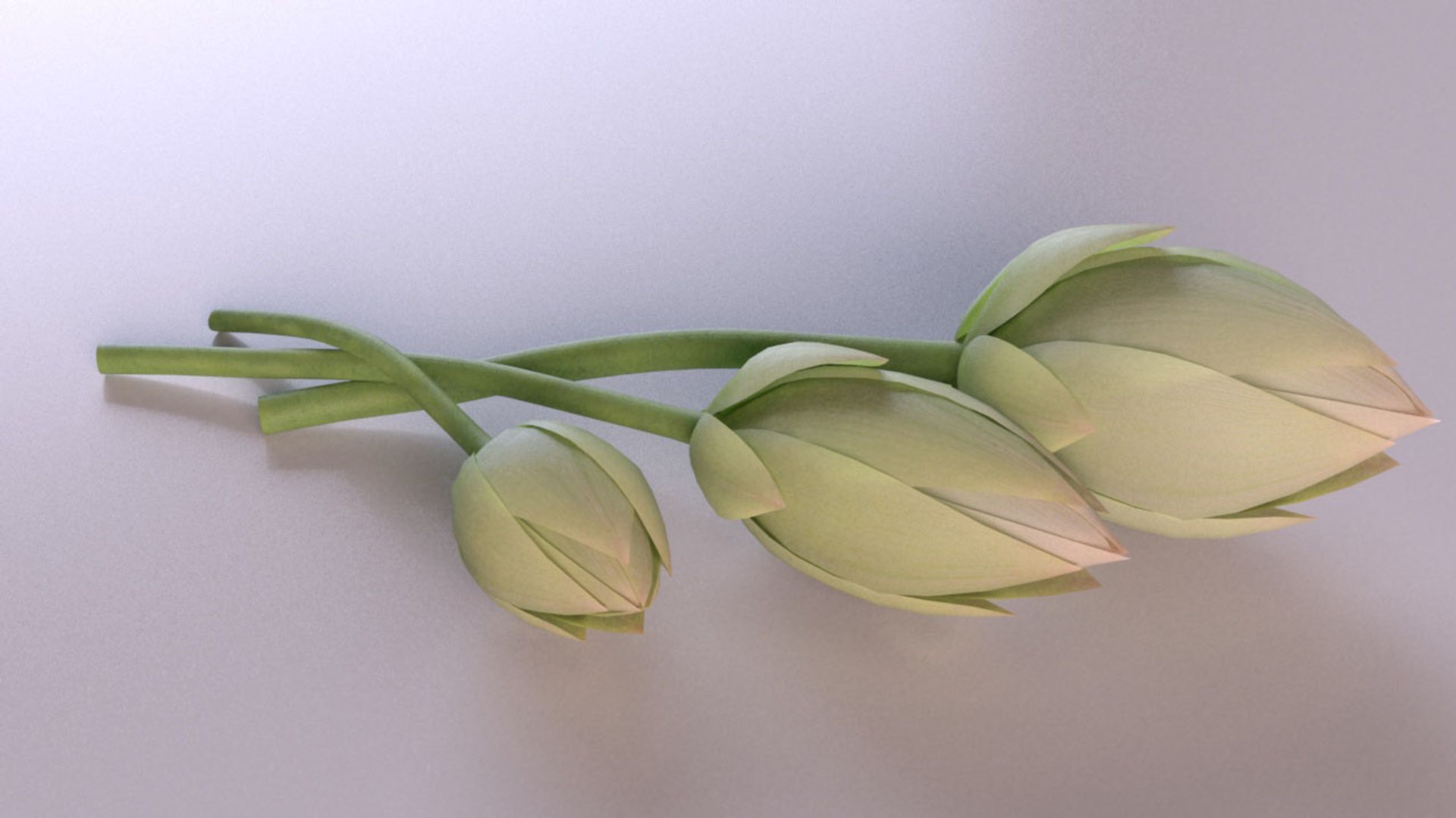 water lily flora plants model https://p.turbosquid.com/ts-thumb/xF/clP6Lz/ZL6WrnJh/2/jpg/1602836924/1920x1080/fit_q87/28ac1a16e9526393077153a73ad089b4d1758bd8/2.jpg