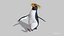 rockhopper penguin obj