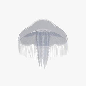 3D Jellyfish