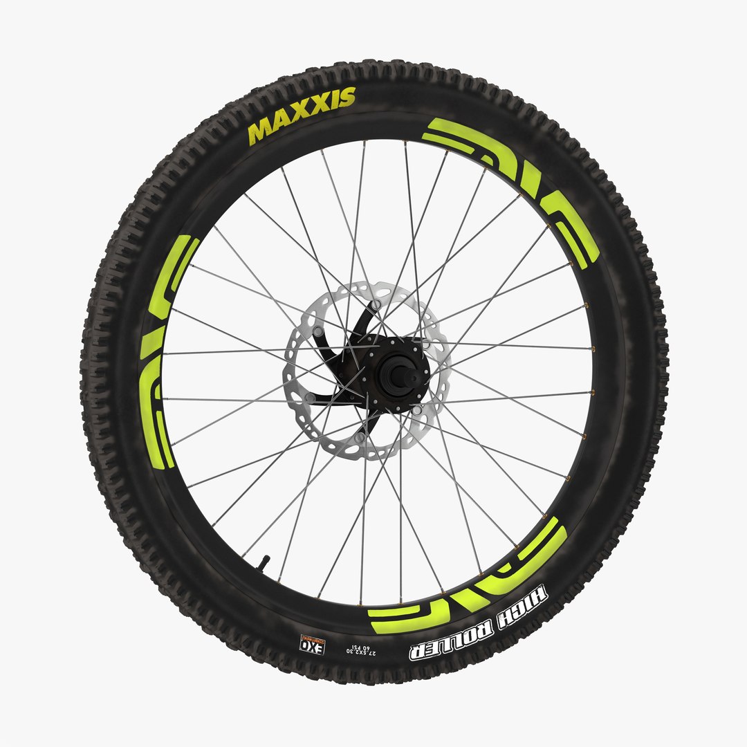 Bicycle Front Wheel 3D model preview