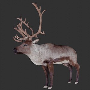 Rigged low poly Reindeer