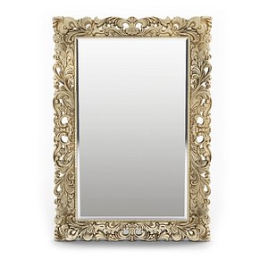 mirror classic max
