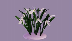 galanthus flower