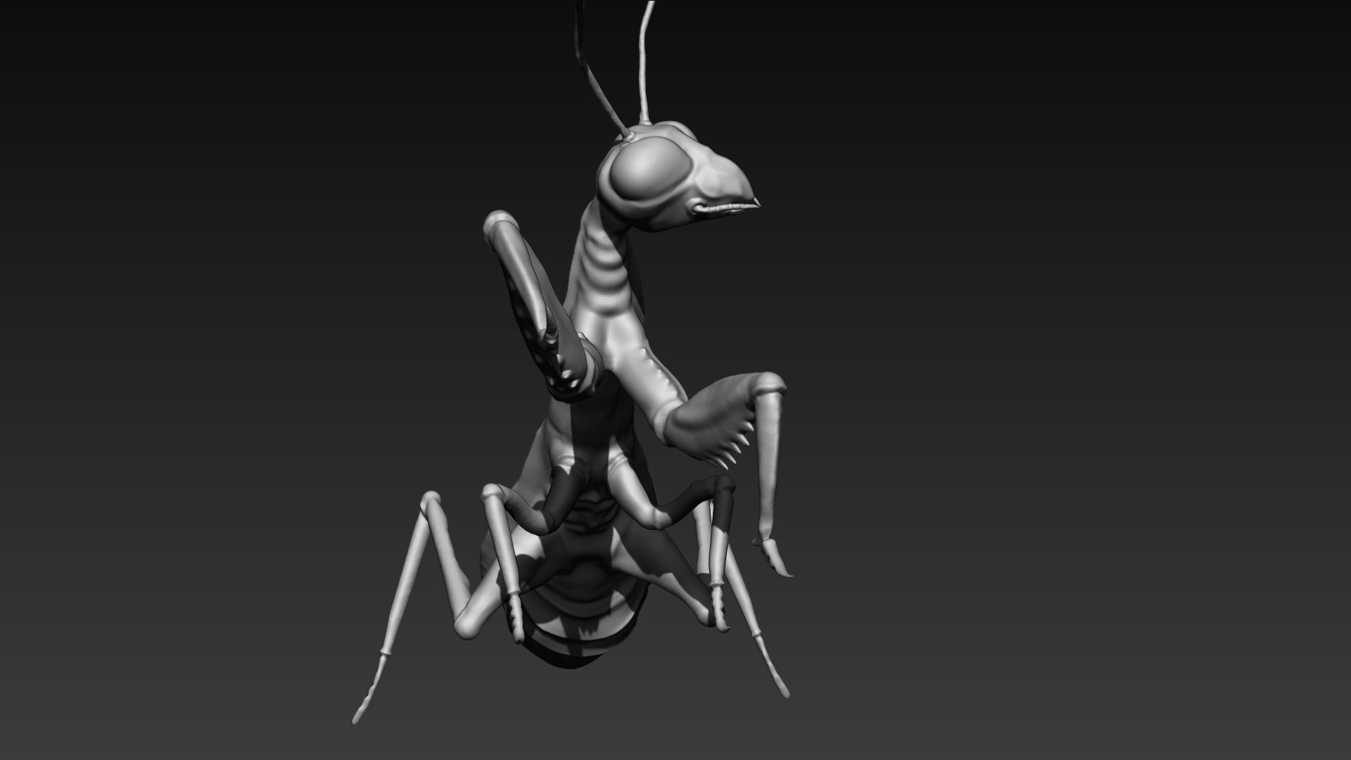 3D Mantis - TurboSquid 2073794