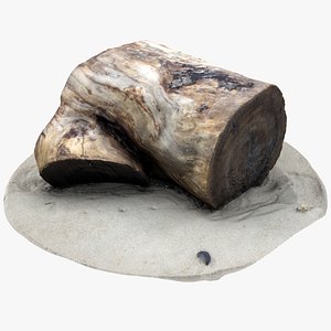 Rustic Wood Stump 1