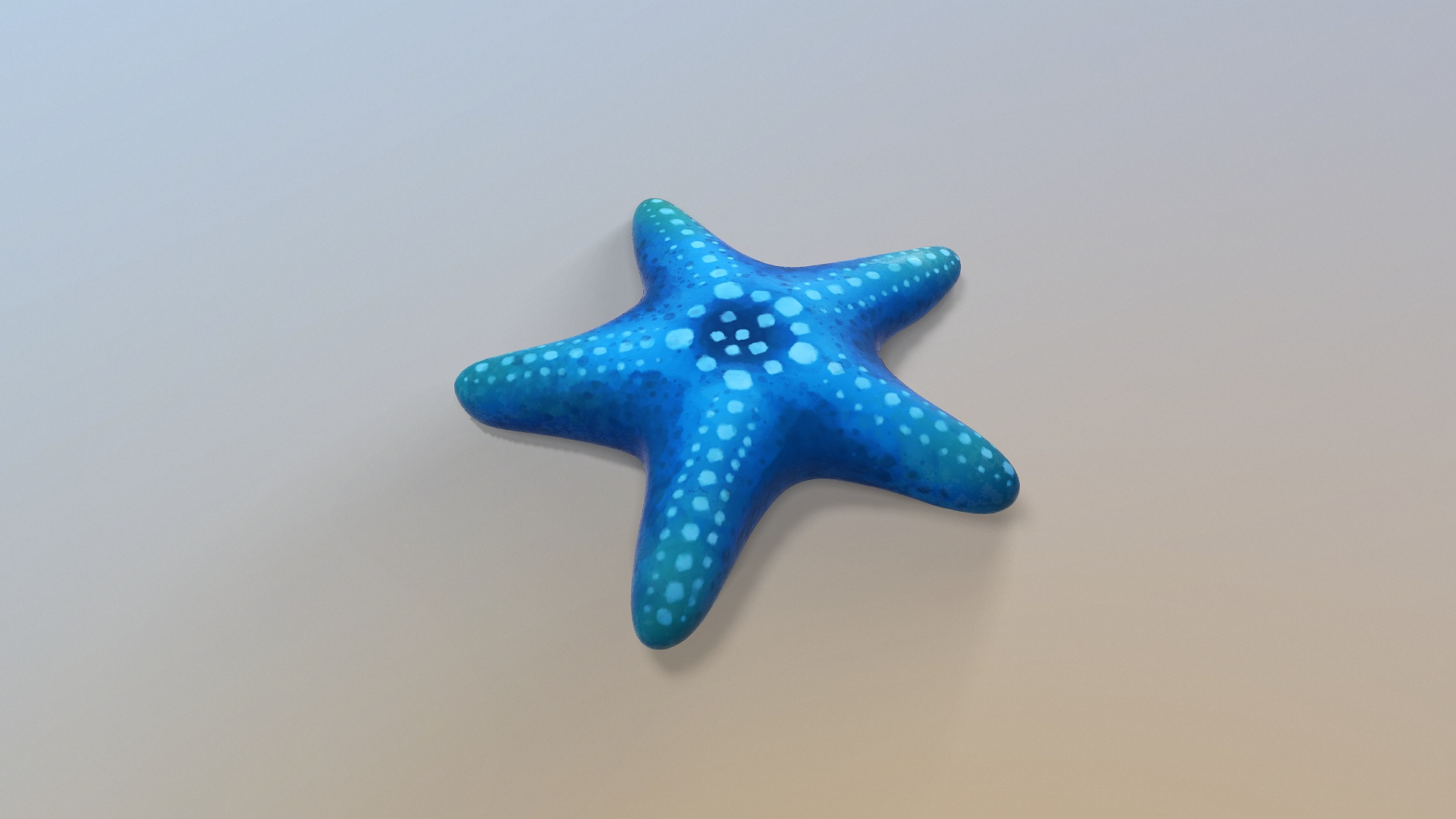 Stylized Starfish 3d Model Turbosquid 1532152