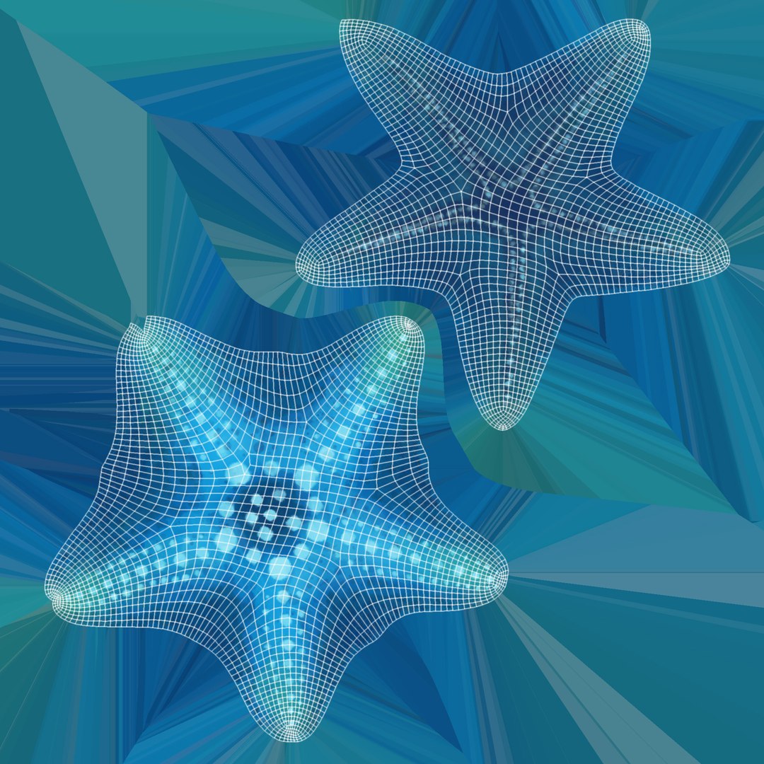 Stylized Starfish 3d Model Turbosquid 1532152