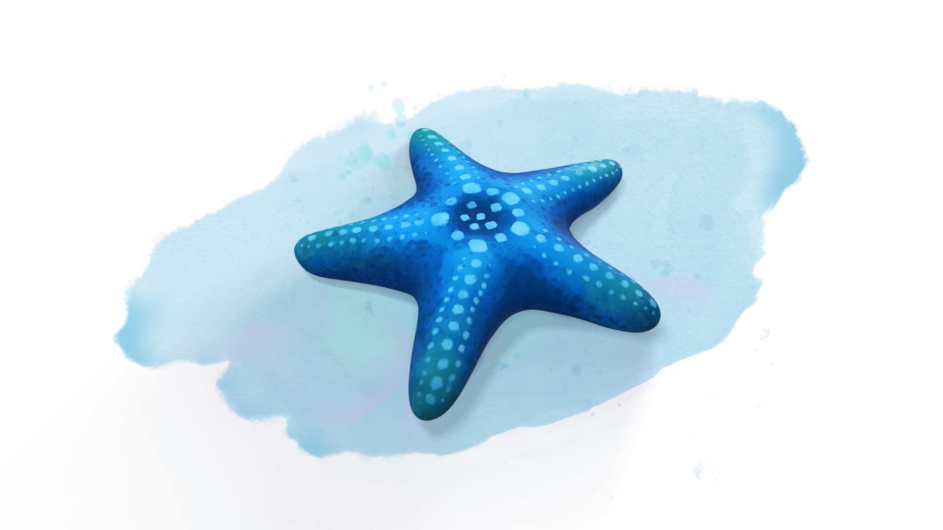 Stylized Starfish 3d Model Turbosquid 1532152