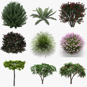 3D Plants Collection