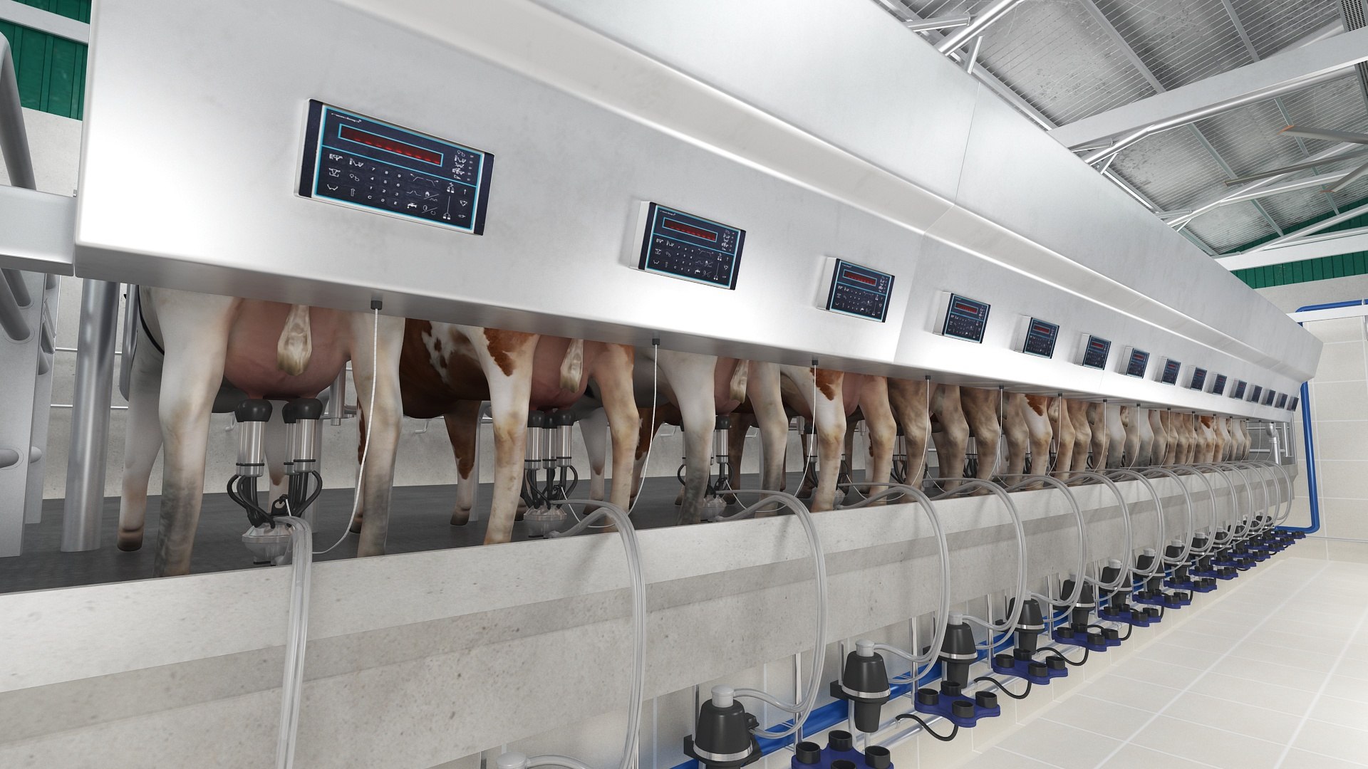 3D Cow Farm Barn and Milking Parlor Collection https://p.turbosquid.com/ts-thumb/xG/Or1Ztj/Uw/milkingparlor3/jpg/1692568896/1920x1080/fit_q87/7c6318a23416ee1778d016b35de5271e3c563d2b/milkingparlor3.jpg