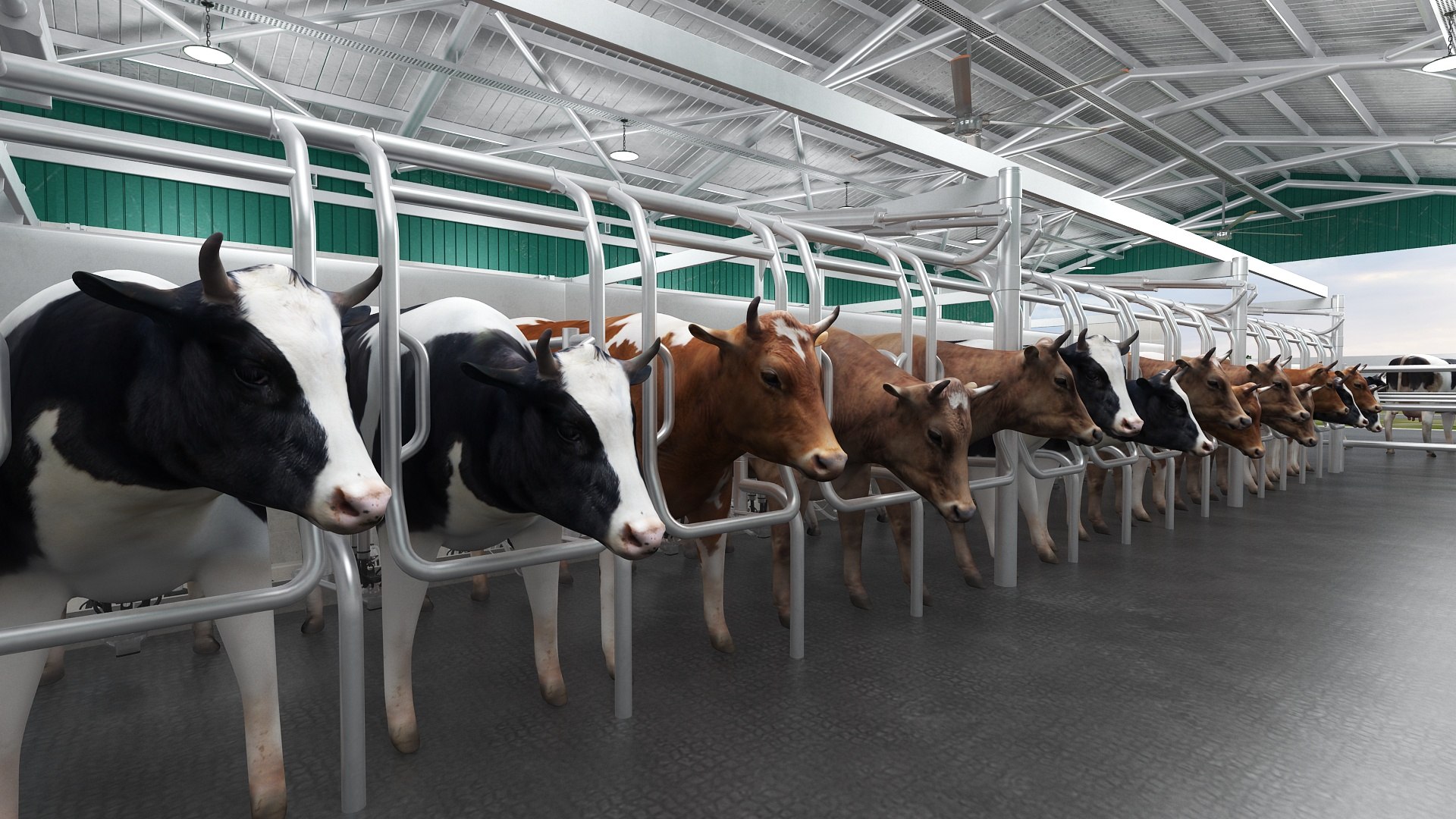 3D Cow Farm Barn and Milking Parlor Collection https://p.turbosquid.com/ts-thumb/xG/Or1Ztj/VC/milkingparlor12/jpg/1692568903/1920x1080/fit_q87/6644f7023b239f1267145a17fa77af050b1d7a85/milkingparlor12.jpg