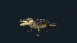 3D Realistic Crocodile 3D