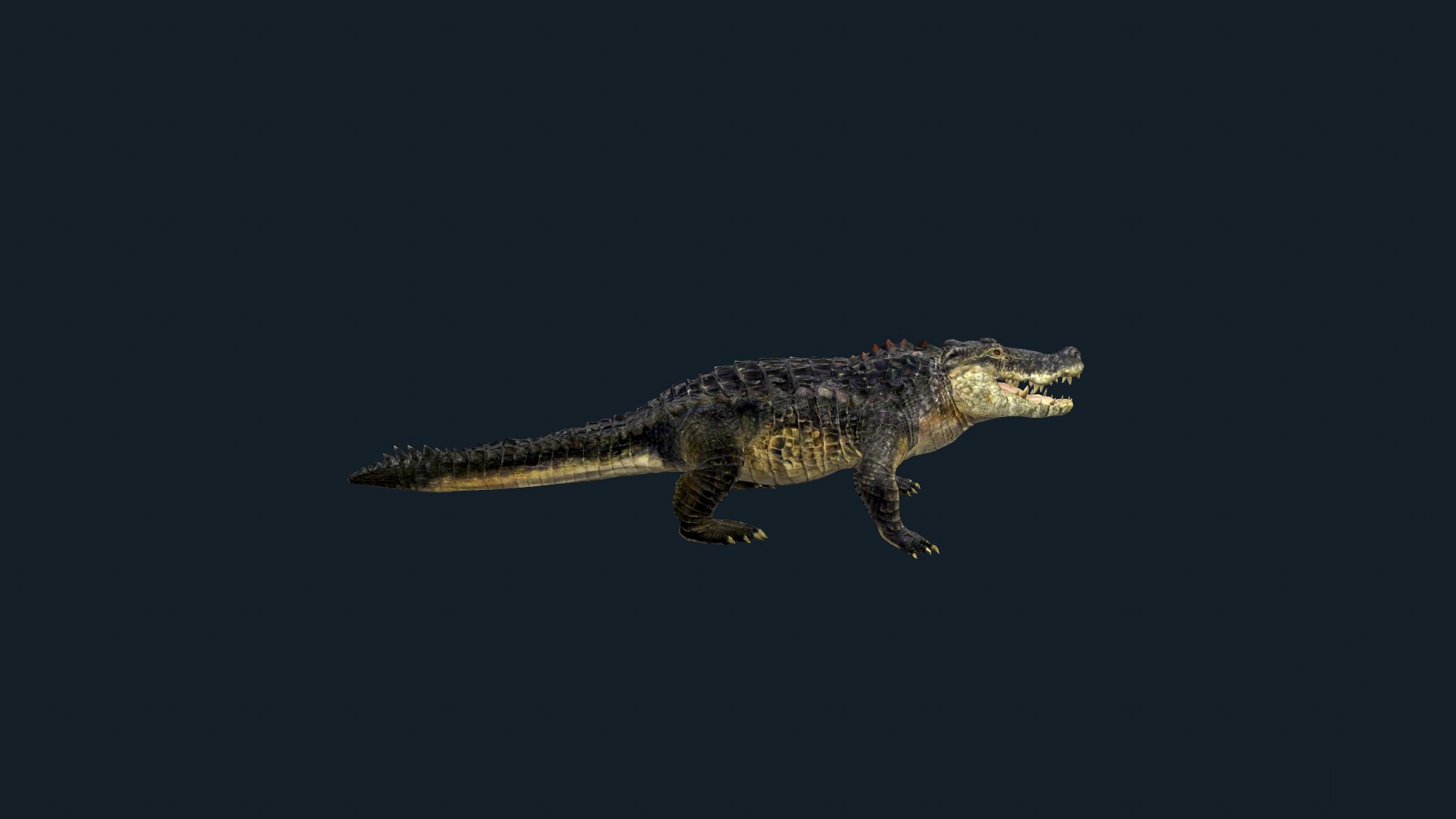 3D Realistic Crocodile 3D https://p.turbosquid.com/ts-thumb/xG/PEbdor/4K/screenshot002/png/1670066359/1920x1080/fit_q87/15fd3d72fe7e59fc2543b6dd60ca0fab2a31fbde/screenshot002.jpg