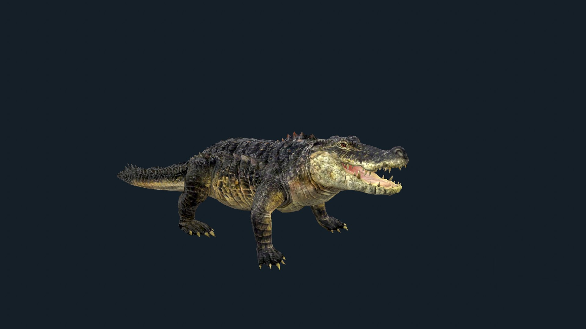3D Realistic Crocodile 3D https://p.turbosquid.com/ts-thumb/xG/PEbdor/55/screenshot000/png/1670066357/1920x1080/fit_q87/0172f32cc29e6232e78705942081fae9364db5f7/screenshot000.jpg