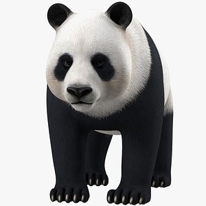 3D Giant Panda Rigged for Maya