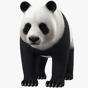 Giant Panda Rigged for Maya