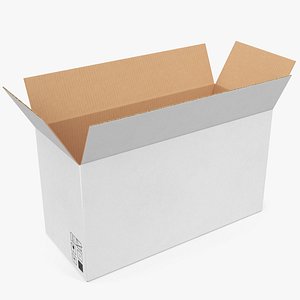 Cardboard Box White 01