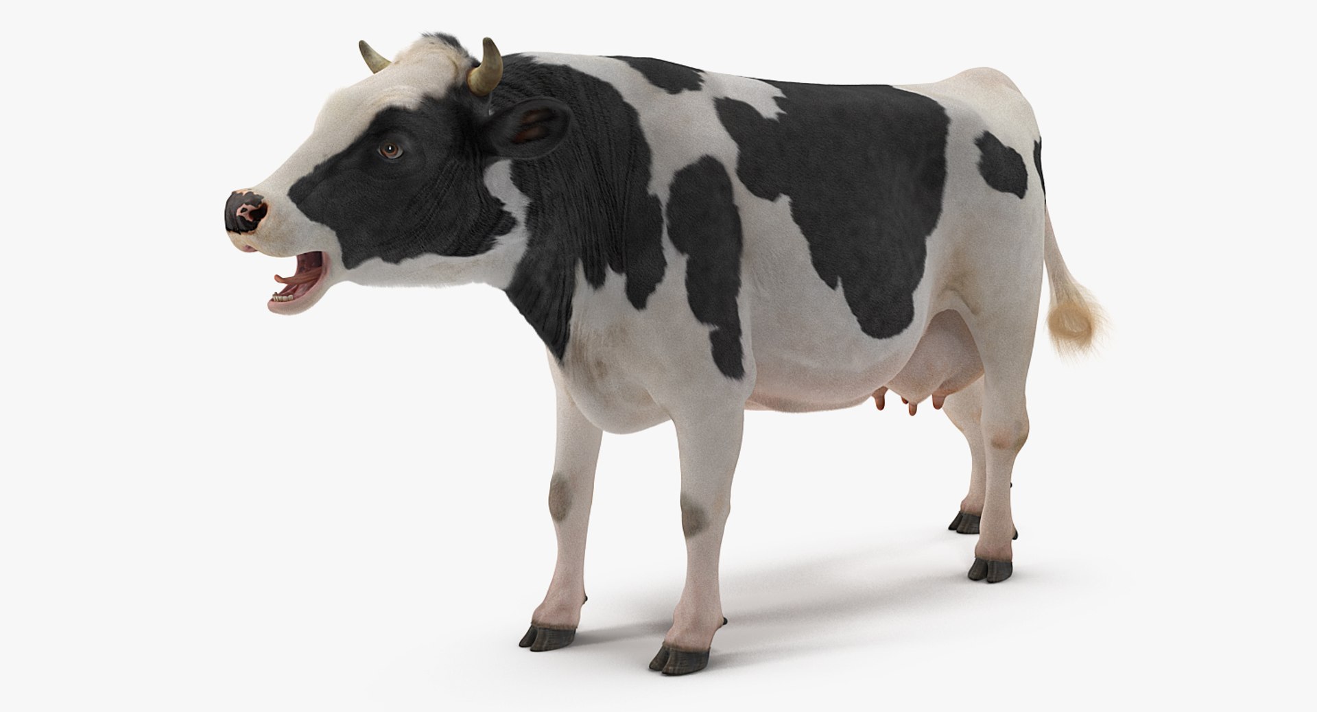 3D cow farm animal model https://p.turbosquid.com/ts-thumb/xG/cKynLt/MI5y1P2N/animatedcowcollectionmb3dmodel021/jpg/1562690204/1920x1080/fit_q87/a8099400bcedb327308c231bdbcd82b74236f13e/animatedcowcollectionmb3dmodel021.jpg
