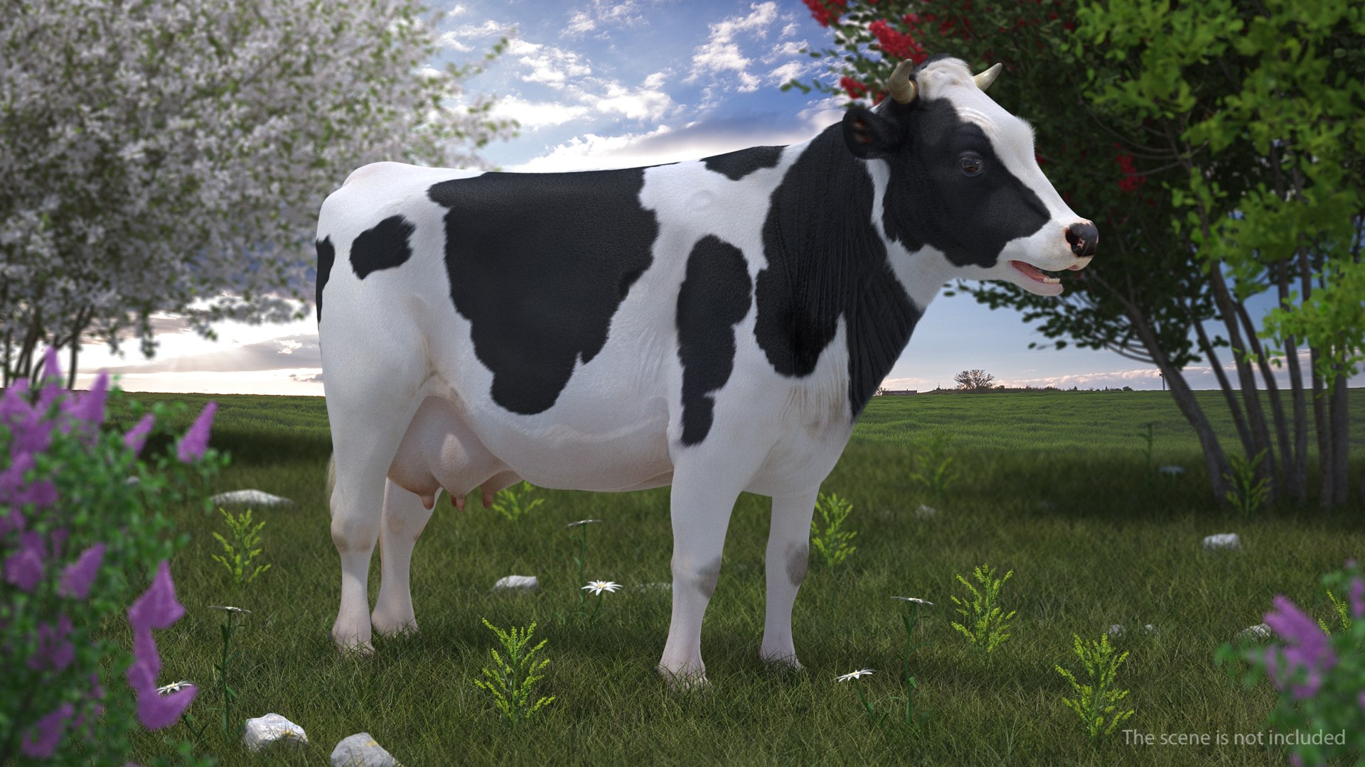 3D cow farm animal model https://p.turbosquid.com/ts-thumb/xG/cKynLt/wNz4PB0F/animatedcowcollectionmb3dmodel012/jpg/1562690203/1920x1080/fit_q87/36a34f5db0171e65a1f939dc405573a4f6d1a908/animatedcowcollectionmb3dmodel012.jpg