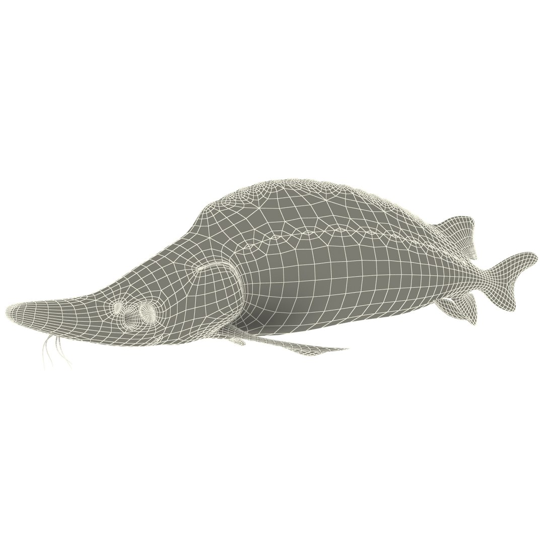 3d fishs pike sturgeon https://p.turbosquid.com/ts-thumb/xG/n1iOKM/1OvHraD5/fishs_collection_28/jpg/1288299981/1920x1080/fit_q87/97bab755926686d1d08f5a9bf601c06e37a218e1/fishs_collection_28.jpg