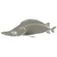 Colecção Fishs