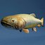 Colecção Fishs