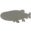 Colecção Fishs