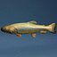 Colecção Fishs