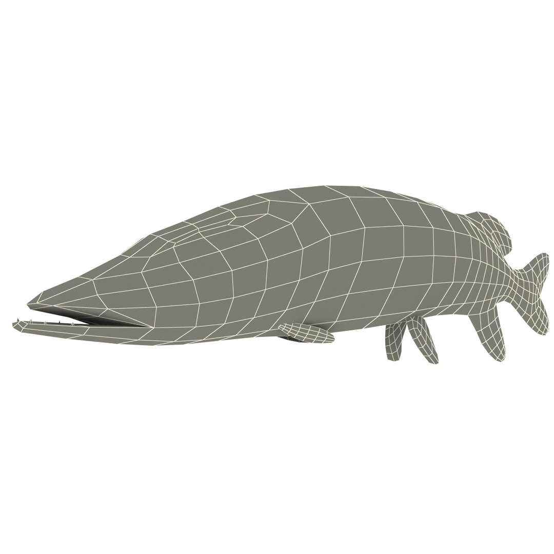 3d fishs pike sturgeon https://p.turbosquid.com/ts-thumb/xG/n1iOKM/Vc4ypu0Z/fishs_collection_14/jpg/1288299980/1920x1080/fit_q87/677ddd25a7b59dccf1a7ba2d0daa5b244c4e1138/fishs_collection_14.jpg