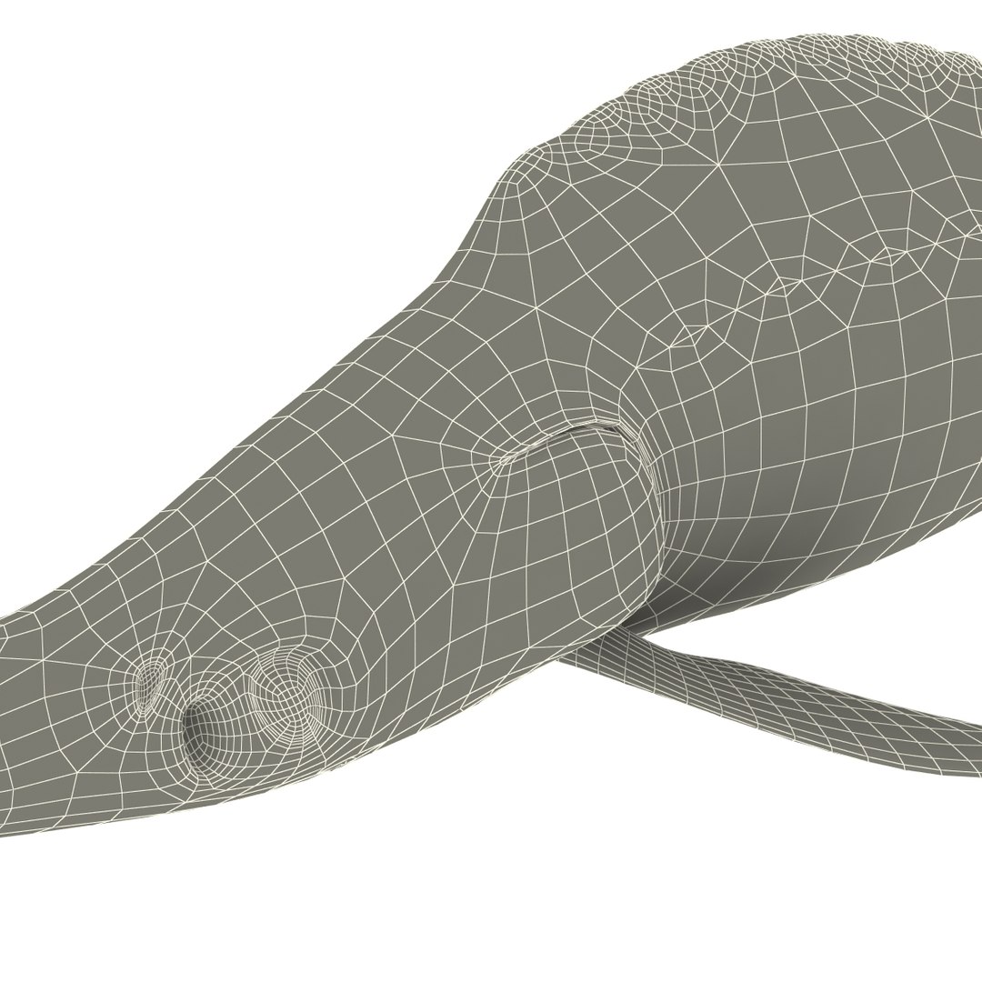 3d fishs pike sturgeon https://p.turbosquid.com/ts-thumb/xG/n1iOKM/WkkKF2vL/fishs_collection_29/jpg/1288299981/1920x1080/fit_q87/fd7243979efca5fbd1481c65d1b50451aaba7107/fishs_collection_29.jpg