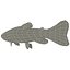 Colecção Fishs