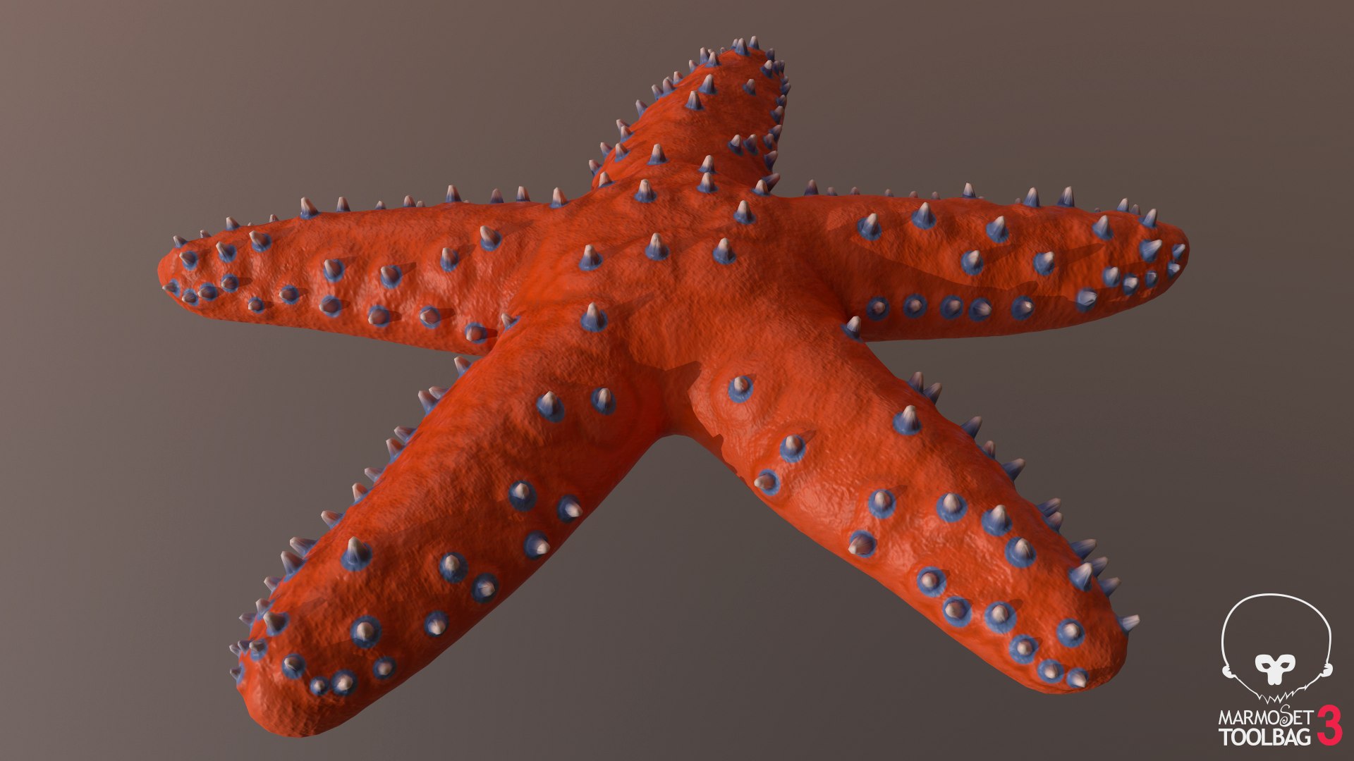 3D knobby starfish pbr model https://p.turbosquid.com/ts-thumb/xG/pqYTFw/1aPG9Y8q/screenshot1035/png/1573495818/1920x1080/fit_q87/4894566da1ba1c94cabddafb05169d4cfe92a9ad/screenshot1035.jpg