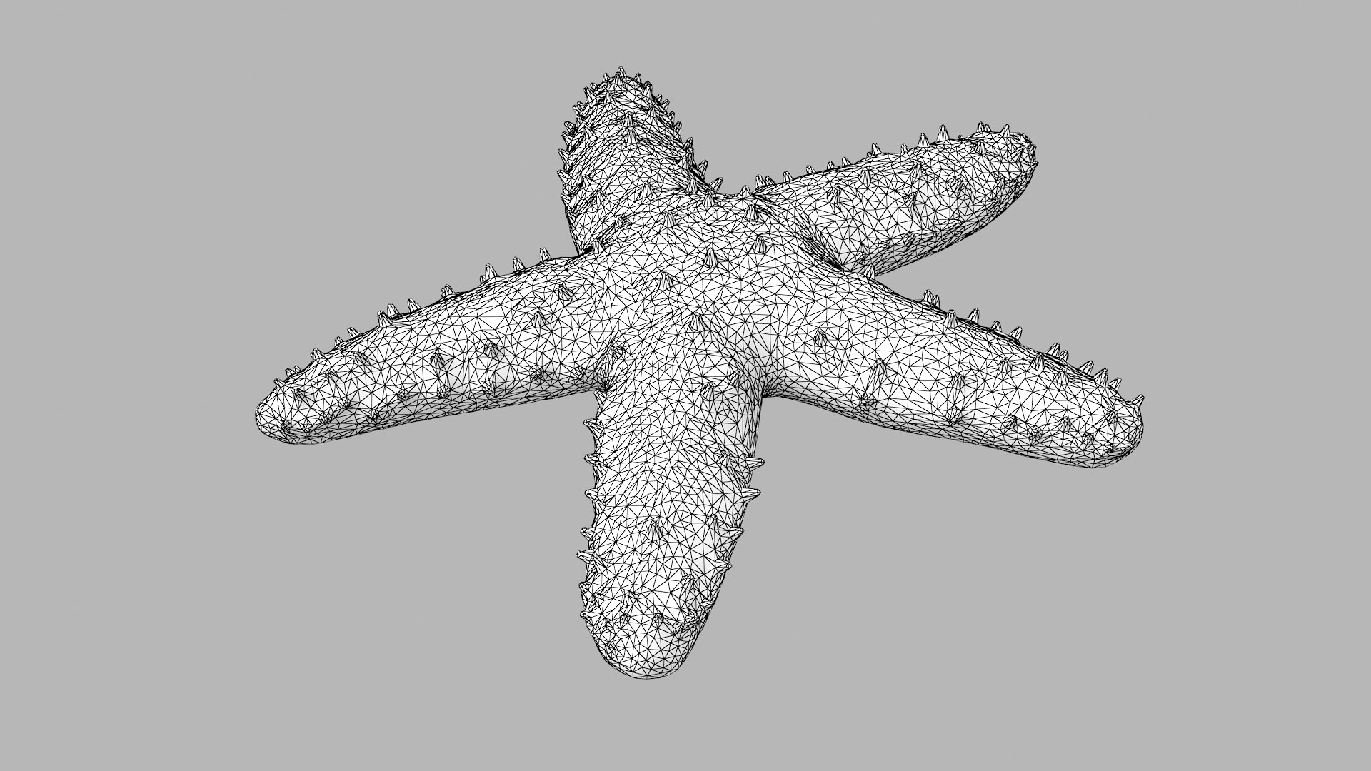 3D knobby starfish pbr model https://p.turbosquid.com/ts-thumb/xG/pqYTFw/FYtDk1Nd/knobbystar_r1w/png/1573495805/1920x1080/fit_q87/c7f8764da3d018de214f25c04c29e8a5234a23b5/knobbystar_r1w.jpg