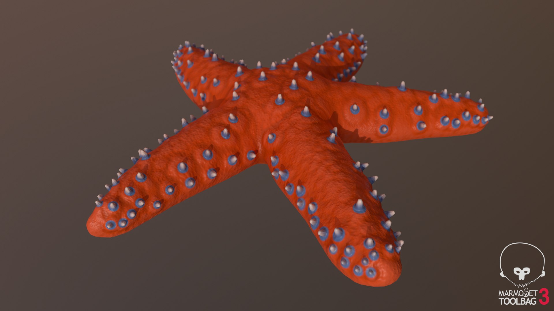 3D knobby starfish pbr model https://p.turbosquid.com/ts-thumb/xG/pqYTFw/SJGDJ6lG/screenshot1036/png/1573495818/1920x1080/fit_q87/7309760d35cd813cd80af4a287b40ef36e04f86d/screenshot1036.jpg
