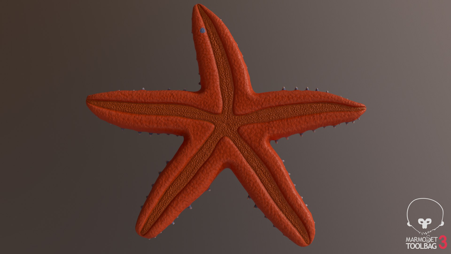 3D Knobby Starfish Pbr Model - TurboSquid 1470378