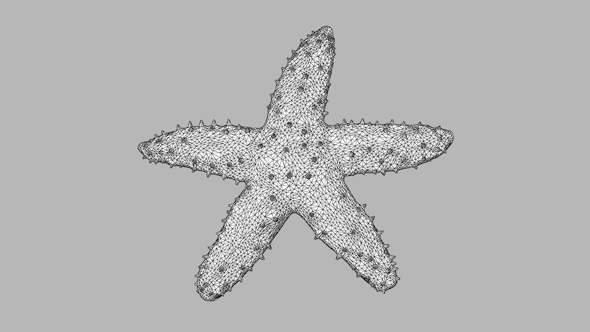 3D knobby starfish pbr model https://p.turbosquid.com/ts-thumb/xG/pqYTFw/ufpKoRgN/knobbystar_r2w/png/1573495812/1920x1080/fit_q87/b02810017d5858f6d54850128dbdc4c2f4bc6bfa/knobbystar_r2w.jpg