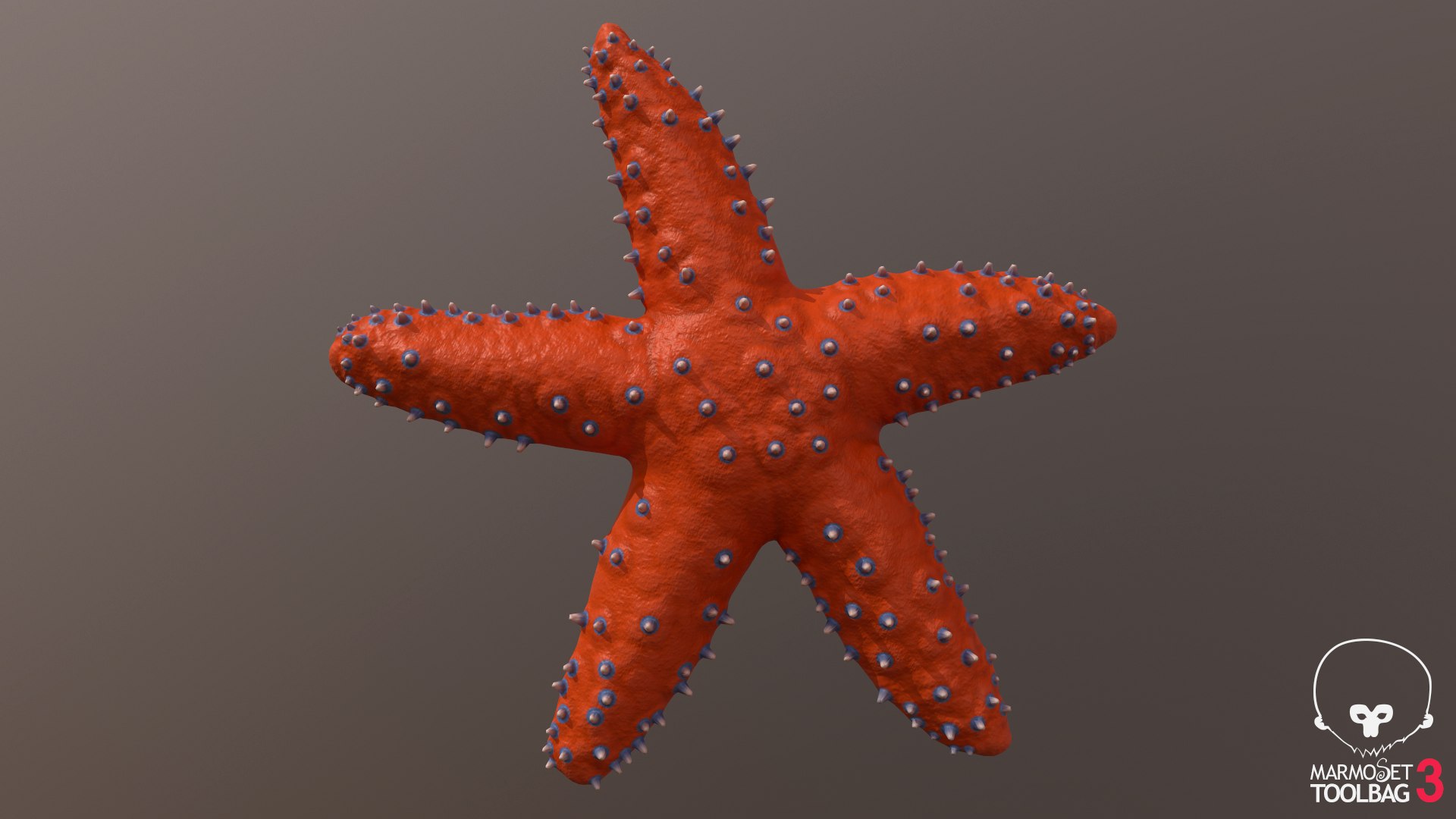 3D knobby starfish pbr model https://p.turbosquid.com/ts-thumb/xG/pqYTFw/wviWoCQE/screenshot1034/png/1573495818/1920x1080/fit_q87/83184a49edf574755793cba146a9357392ef0385/screenshot1034.jpg