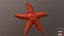 Knobby Star