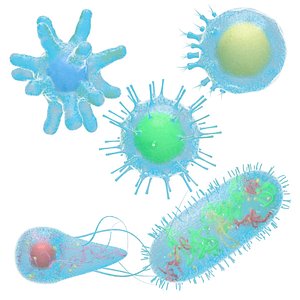 Animated microbes 6-10