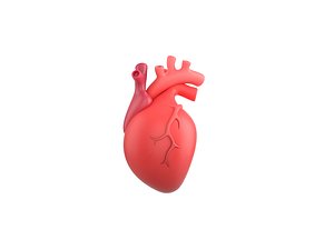 Cartoon Human Heart