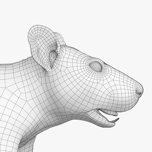 Rat Lowpoly