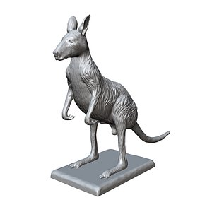 kangaroo