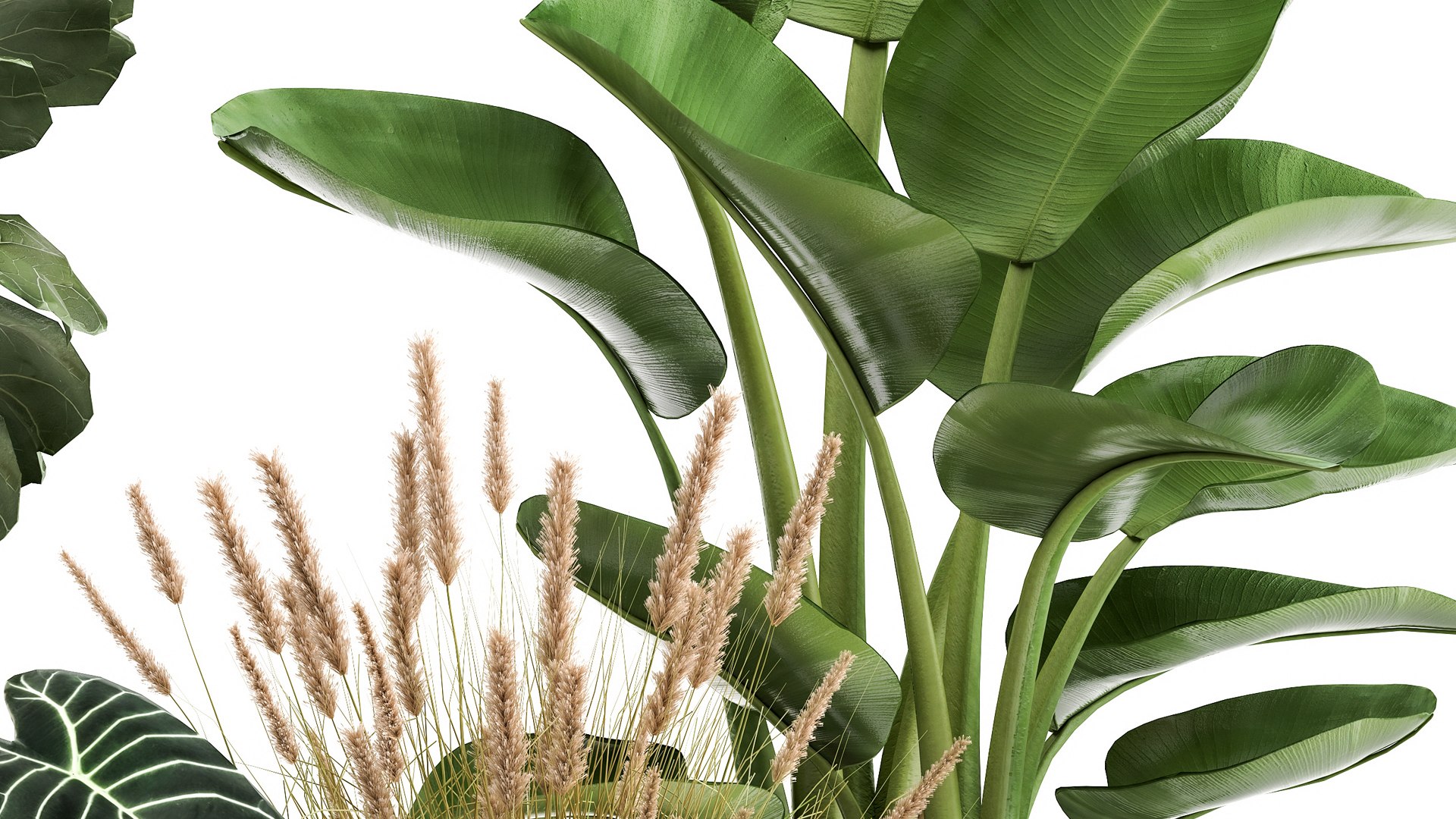 3D Houseplants in a rust flowerpot for the interior 998 https://p.turbosquid.com/ts-thumb/xH/4z0Jjg/3p/1plants1806202106/jpg/1624274109/1920x1080/fit_q87/c69798c351e6b19a25ebbf3f550b62ab18eb1991/1plants1806202106.jpg