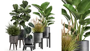3D Houseplants in a rust flowerpot for the interior 998