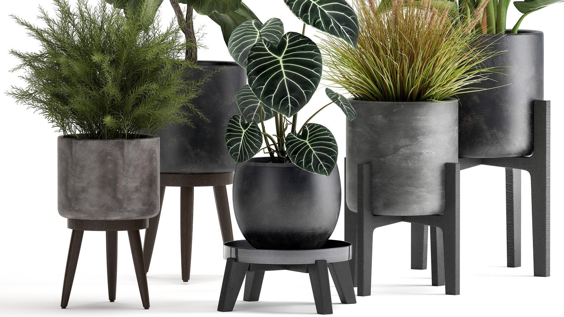 3D Houseplants in a rust flowerpot for the interior 998 https://p.turbosquid.com/ts-thumb/xH/4z0Jjg/YI/1plants1806202104/jpg/1624274107/1920x1080/fit_q87/d27c44fa0f14e1e632c8c948999fa609e0573f03/1plants1806202104.jpg