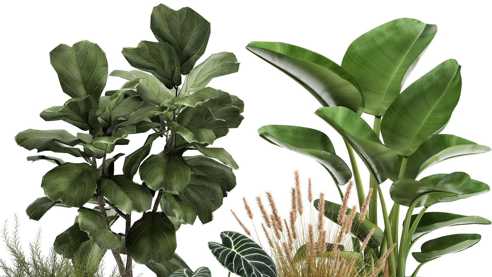 3D Houseplants in a rust flowerpot for the interior 998 https://p.turbosquid.com/ts-thumb/xH/4z0Jjg/c7/1plants1806202102/jpg/1624274105/1920x1080/fit_q87/2f26b8e9263aa2fe4aac85ef7bec1dde28b29ec9/1plants1806202102.jpg